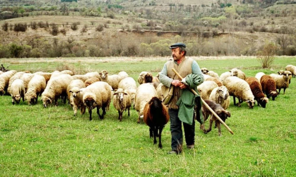 Νομοσχέδιο για την ενίσχυση της κτηνοτροφίας – Τι περιλαμβάνει